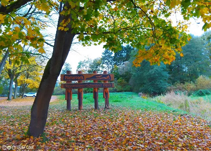 Lägenhet Haus Am Loppinsee *